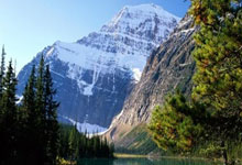 麻花豆传剧媒国产剧男男在线观看完整（麻花影视百度百科）